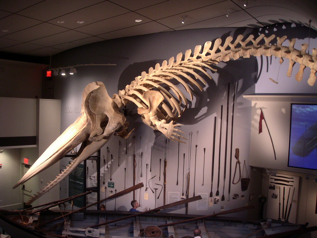 Nantucket Whaling Museum